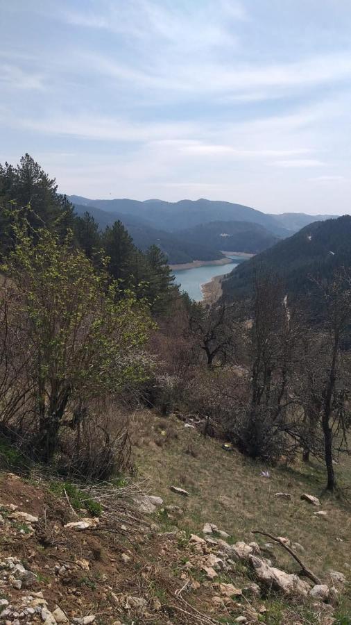 Vila Daniela Zaovine Экстерьер фото