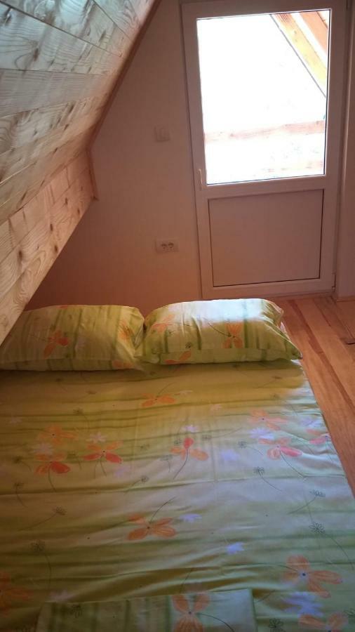 Vila Daniela Zaovine Экстерьер фото